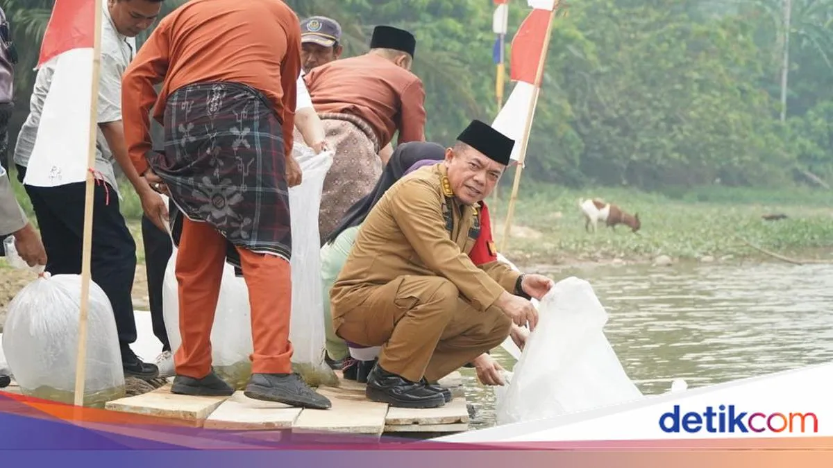 Aturan Adat Menopang Pelestarian Ikan di Lubuk Larangan Danau Sibuk